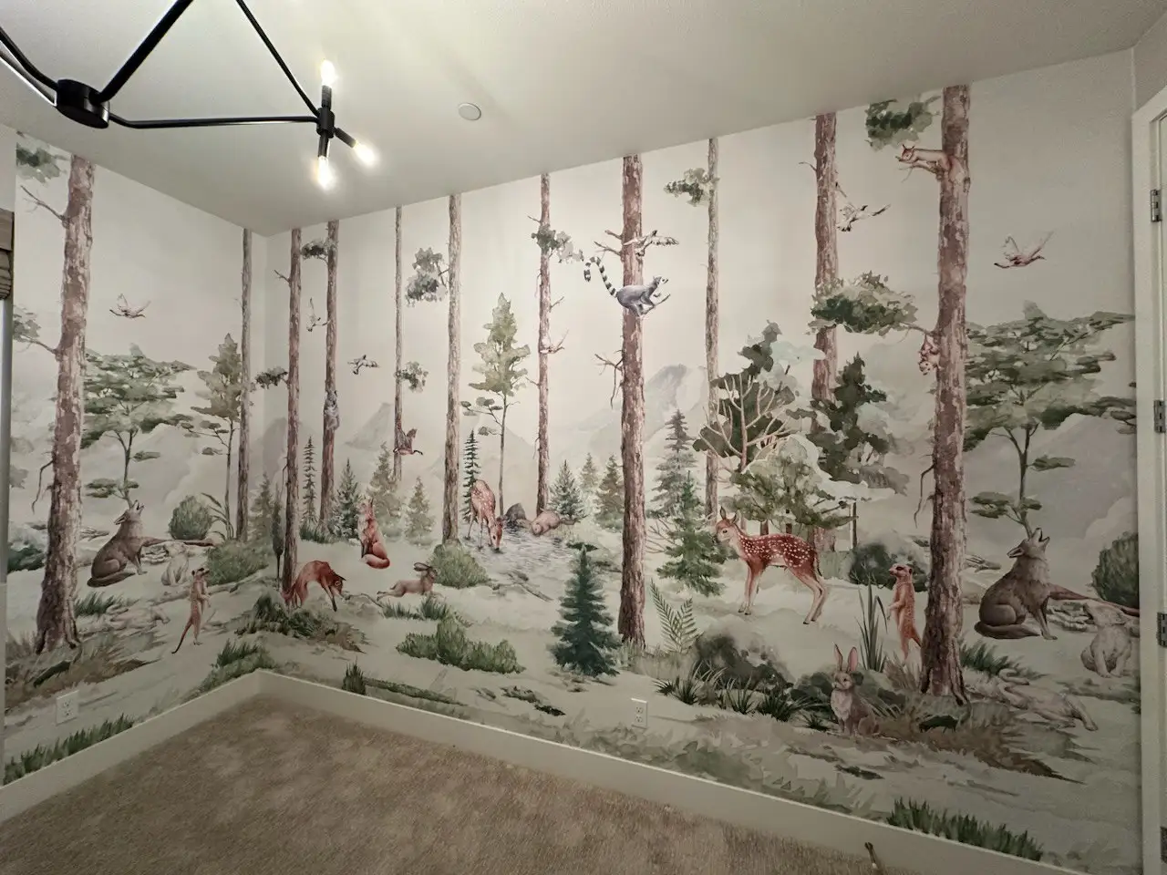 Wallpaper installation service in Aurora, CO